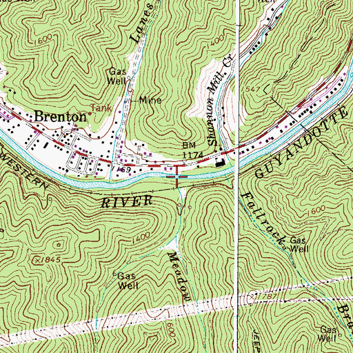 Topographic Map of Meadow Branch, WV