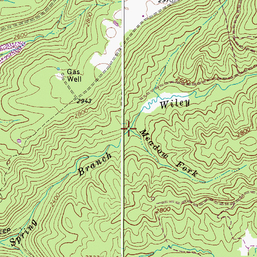 Topographic Map of Meadow Fork, WV