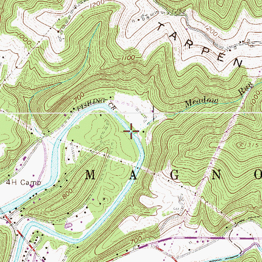 Topographic Map of Meadow Run, WV