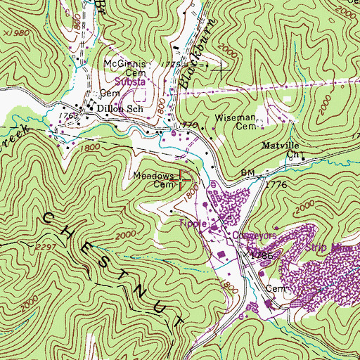 Topographic Map of Meadows Cemetery, WV