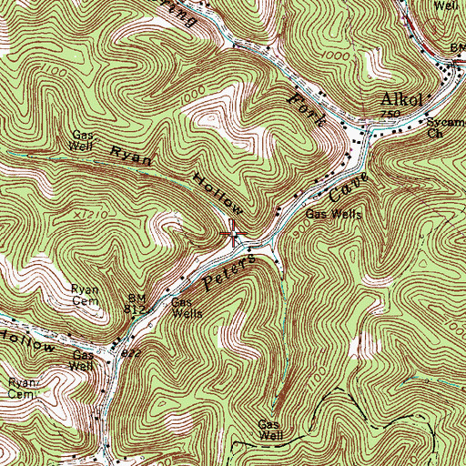 Topographic Map of Meadows Hollow, WV