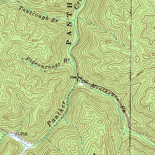 Topographic Map of Meathouse Fork, WV