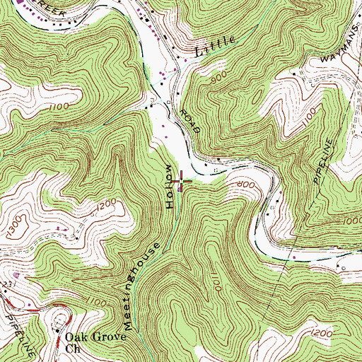 Topographic Map of Meetinghouse Hollow, WV