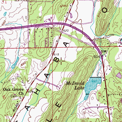 Topographic Map of Shoal Run, AL