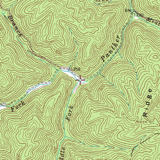 Topographic Map of Middle Fork Panther Creek, WV