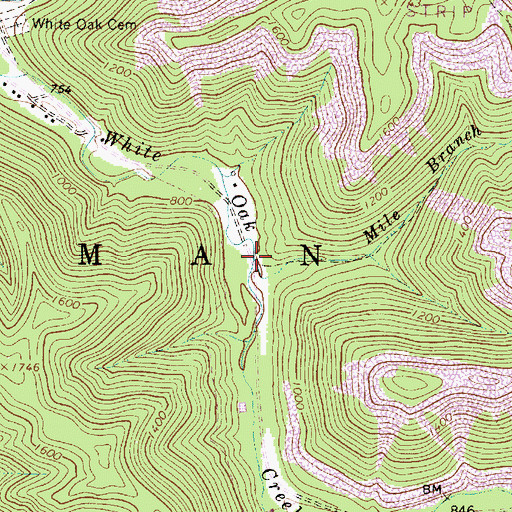 Topographic Map of Mile Branch, WV