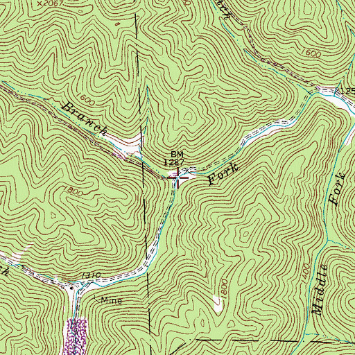 Topographic Map of Mill Branch, WV