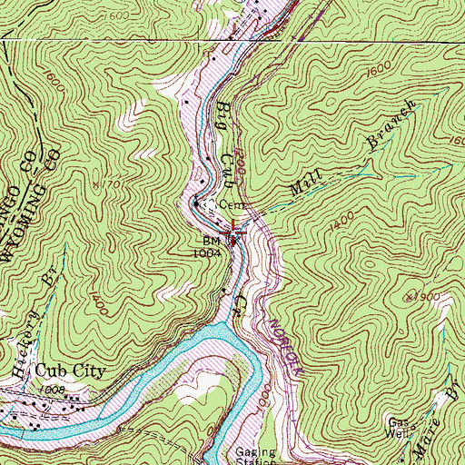 Topographic Map of Mill Branch, WV