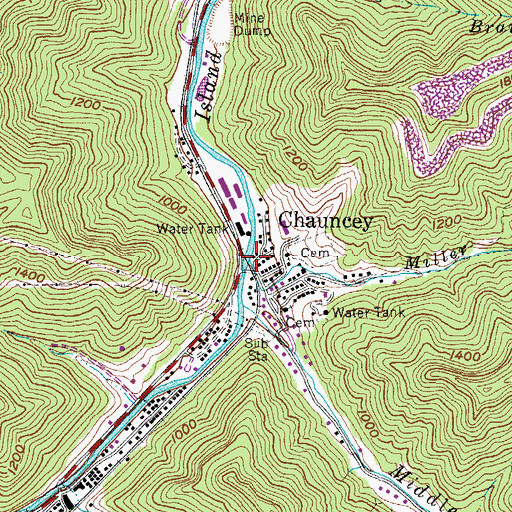 Topographic Map of Miller Branch, WV