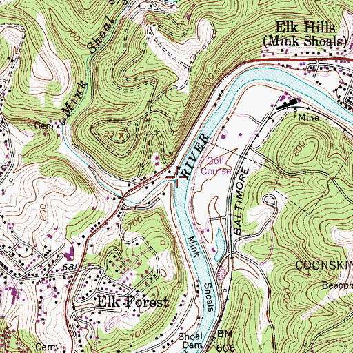 Topographic Map of Mink Shoal Run, WV