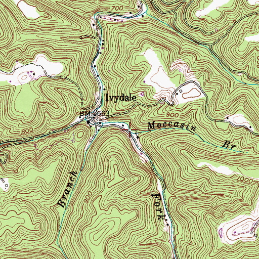 Topographic Map of Moccasin Branch, WV