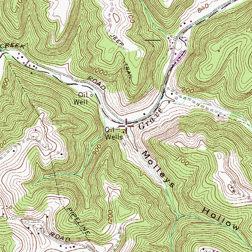 Topographic Map of Molleys Hollow, WV