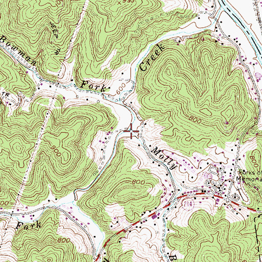 Topographic Map of Molly Branch, WV