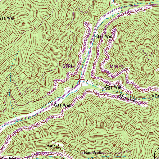 Topographic Map of Moore Branch, WV