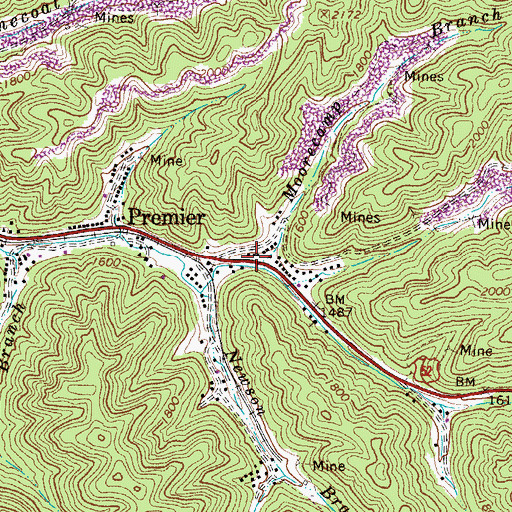 Topographic Map of Moorecamp Branch, WV