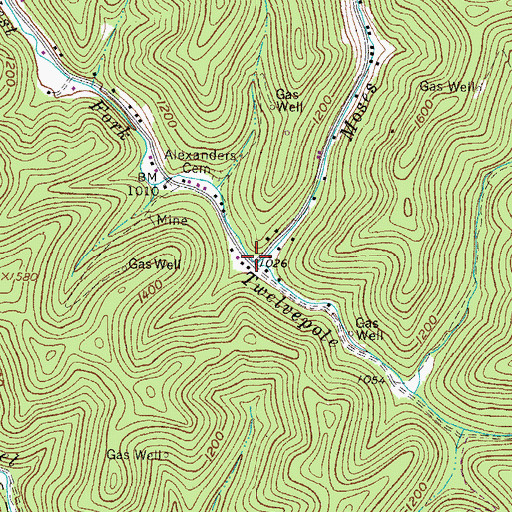 Topographic Map of Moses Fork, WV