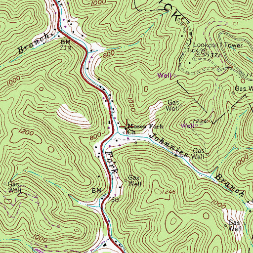 Topographic Map of Moses Fork Church, WV