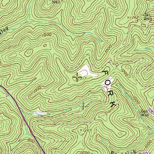 Topographic Map of Moses Fork Mountain, WV