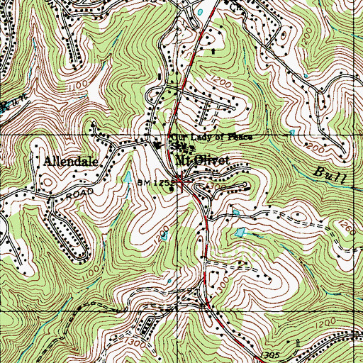 Topographic Map of Mount Olivet, WV