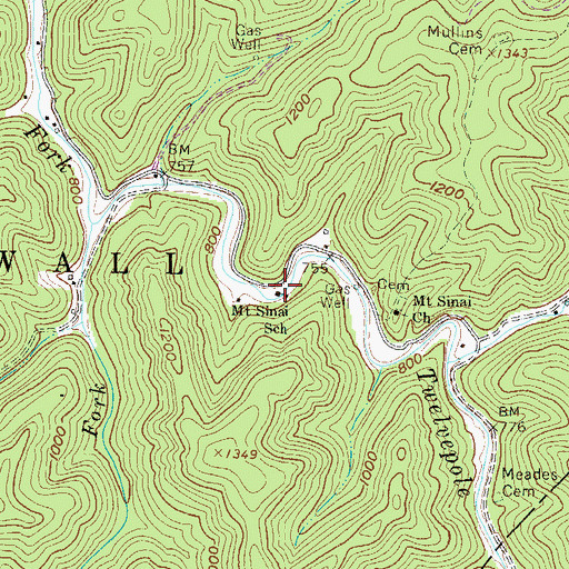 Topographic Map of Mount Sinai School (historical), WV