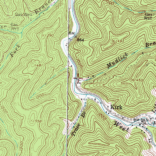Topographic Map of Mudlick Branch, WV