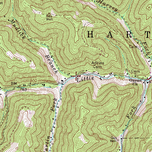 Topographic Map of Mudlick Branch, WV