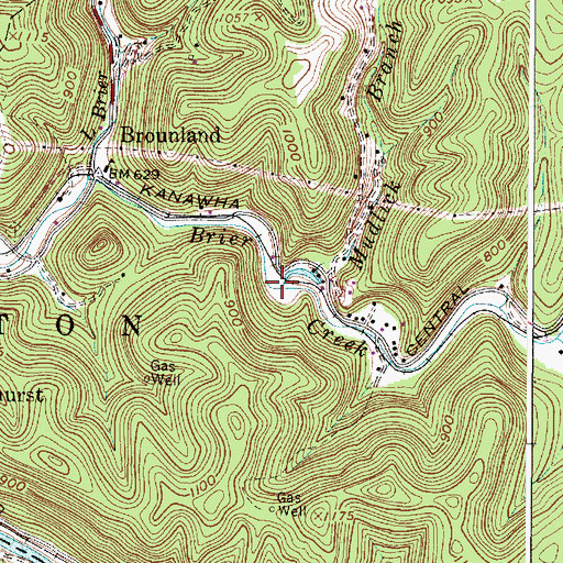 Topographic Map of Mudlick Branch, WV