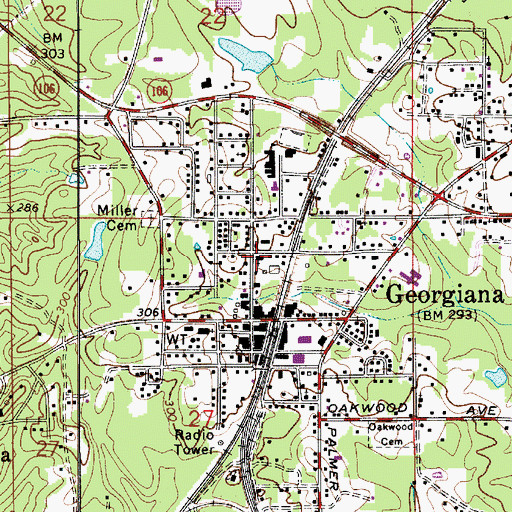 Topographic Map of Georgiana Church of Christ, AL