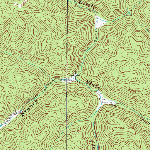 Topographic Map of Mudlick Branch, WV