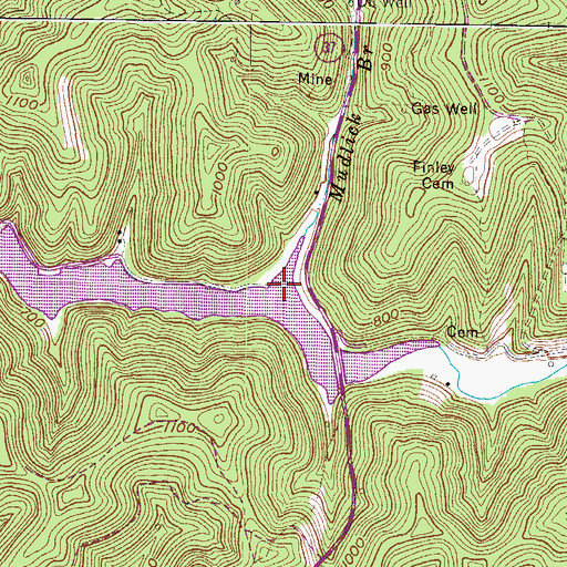 Topographic Map of Mudlick Branch, WV