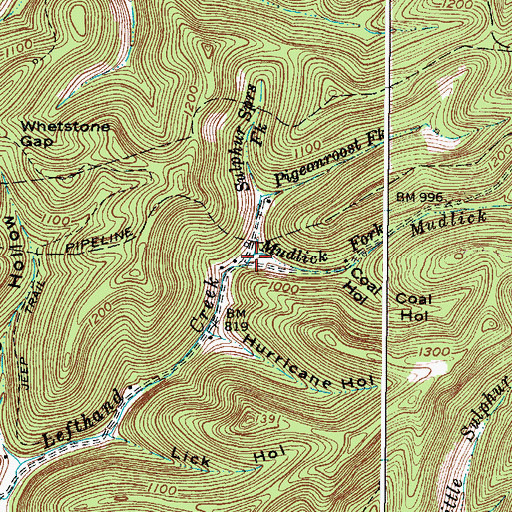 Topographic Map of Mudlick Fork, WV
