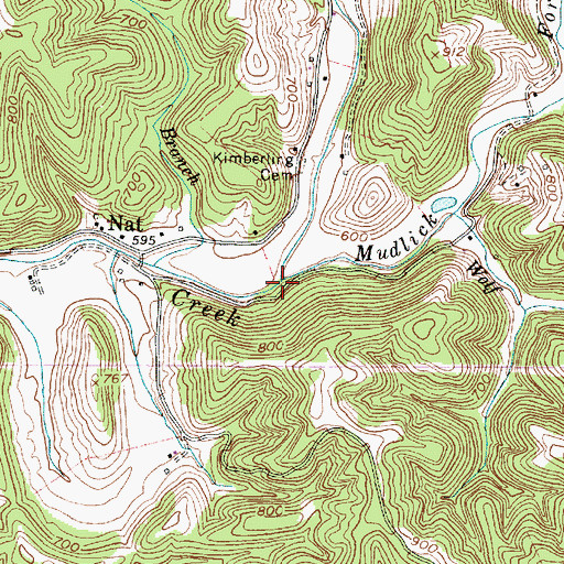Topographic Map of Mudlick Fork, WV