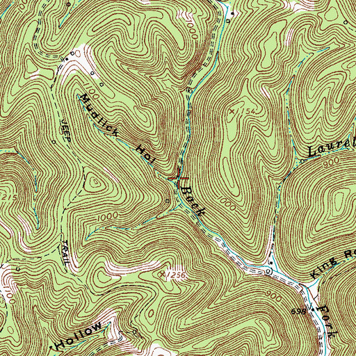 Topographic Map of Mudlick Hollow, WV