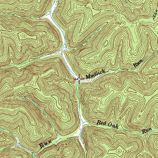 Topographic Map of Mudlick Run, WV