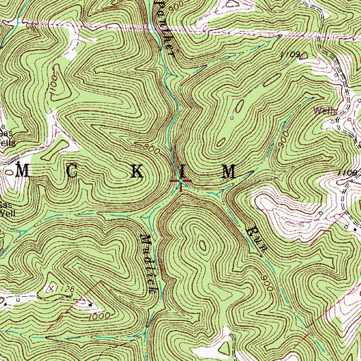 Topographic Map of Mudlick Run, WV