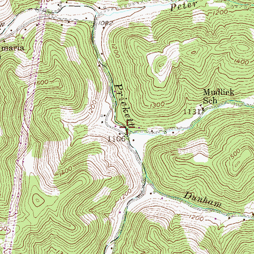 Topographic Map of Mudlick Run, WV