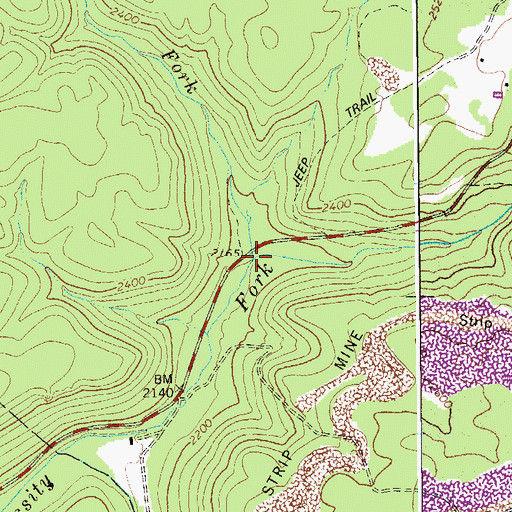 Topographic Map of Mulberry Fork, WV