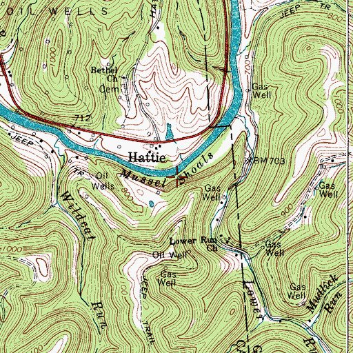 Topographic Map of Mussel Shoals, WV