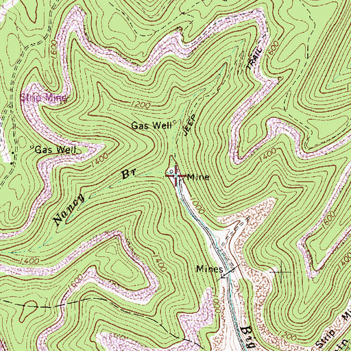 Topographic Map of Nancy Branch, WV