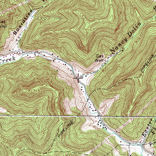 Topographic Map of Nancy Dolin Branch, WV