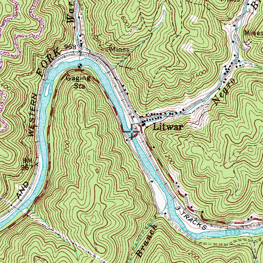 Topographic Map of Negro Branch, WV