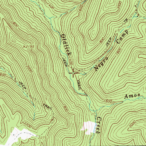 Topographic Map of Negro Camp Run, WV