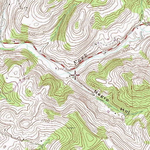 Topographic Map of Negro Hollow, WV