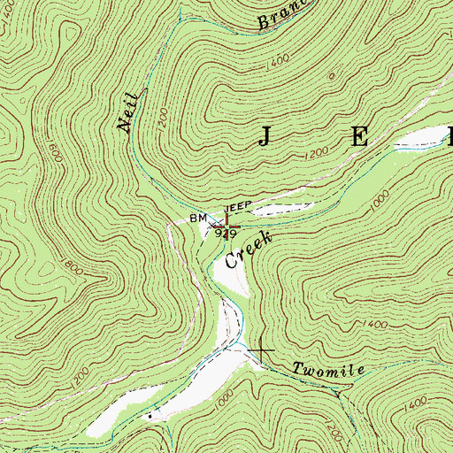 Topographic Map of Neil Branch, WV
