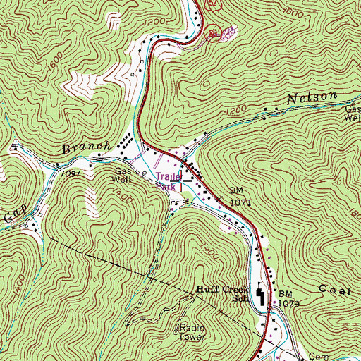 Topographic Map of Nelson Branch, WV