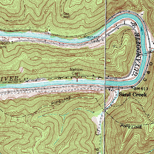 Topographic Map of Nelson Cemetery, WV