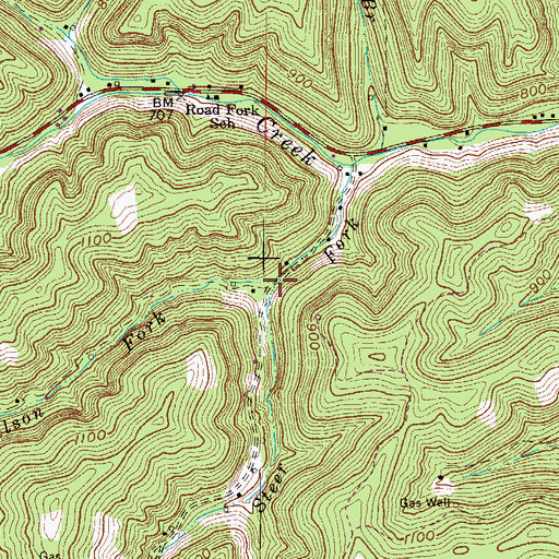 Topographic Map of Nelson Fork, WV