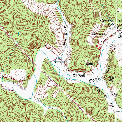 Topographic Map of Nelson Hollow, WV