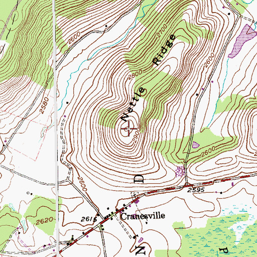 Topographic Map of Nettle Ridge, WV