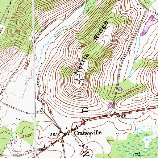 Topographic Map of Nettle Ridge, WV